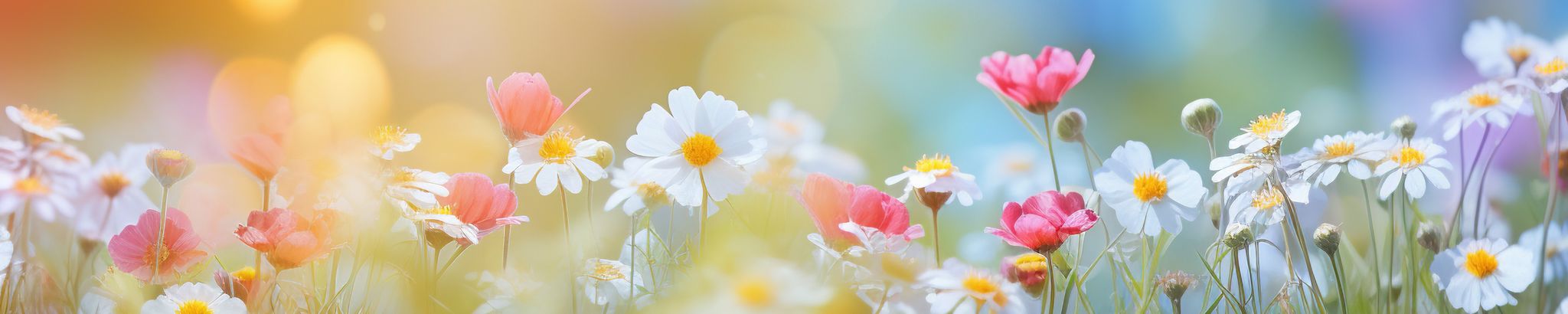 Cover photo for Dorothy May Faulkner's Obituary