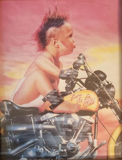 Gary F Campbell Profile Photo