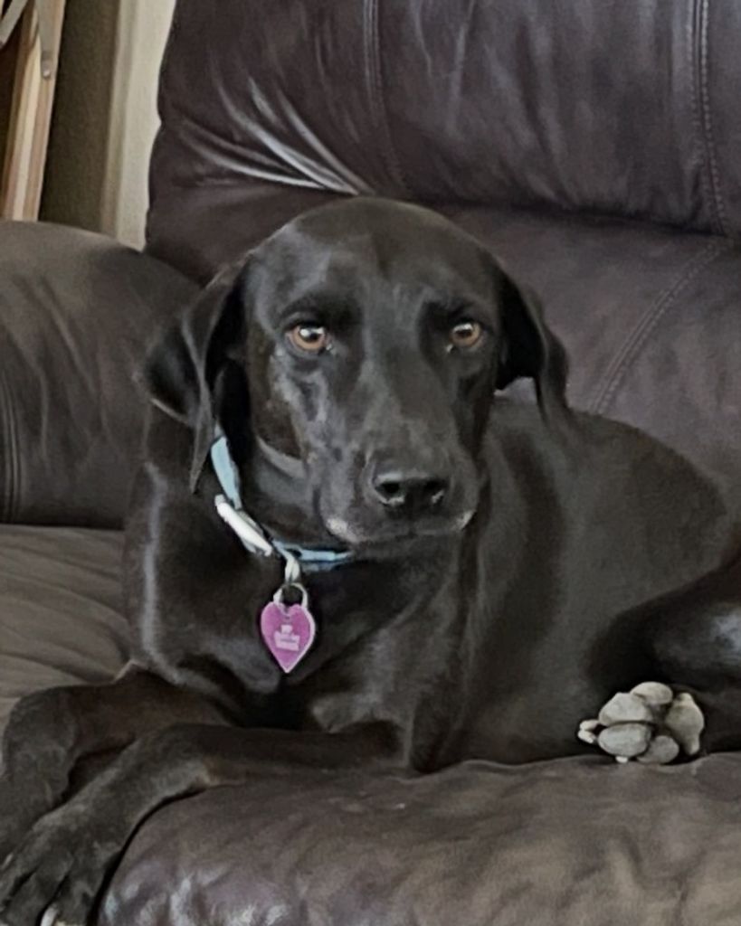 Boots 🖤 Profile Photo