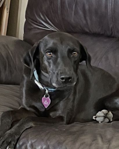 Boots ?'s obituary image