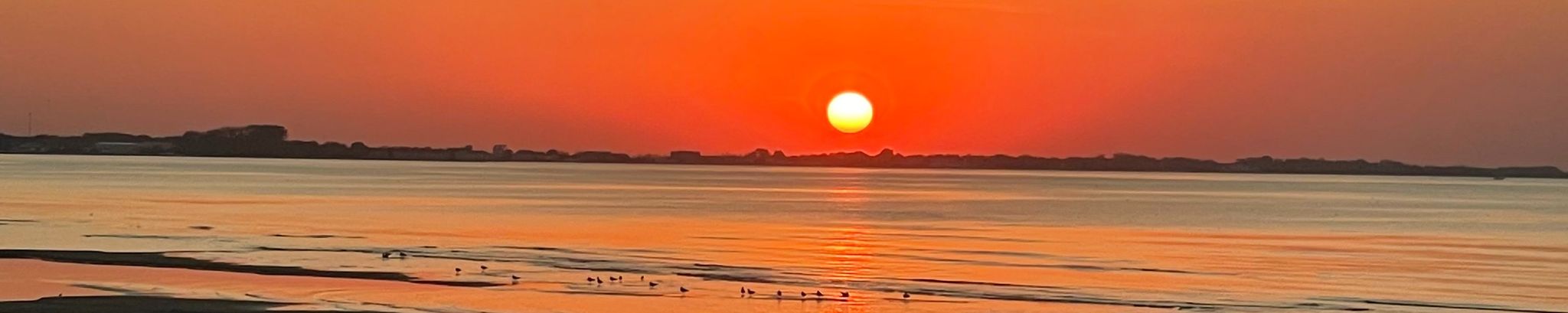 Cover for Albert J. Sprenger's Obituary