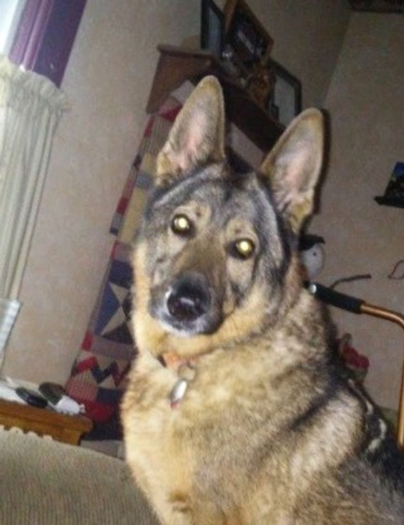 KyCzar Susse' DeWalt Profile Photo