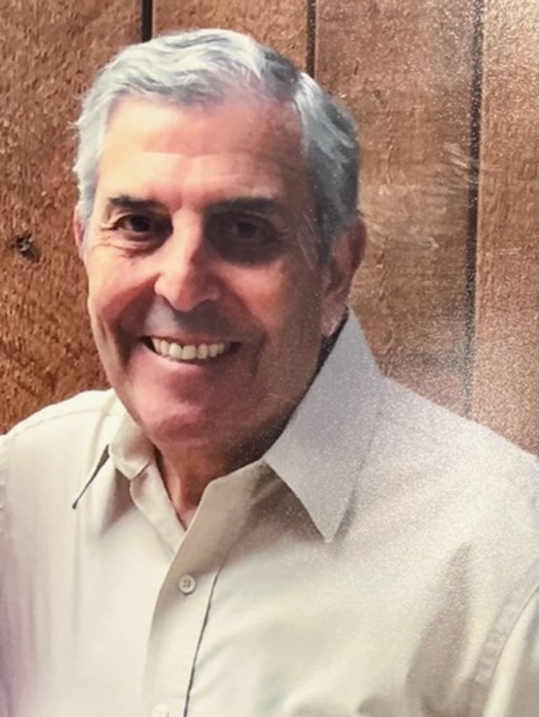 Matthew Salvatore Arena Profile Photo