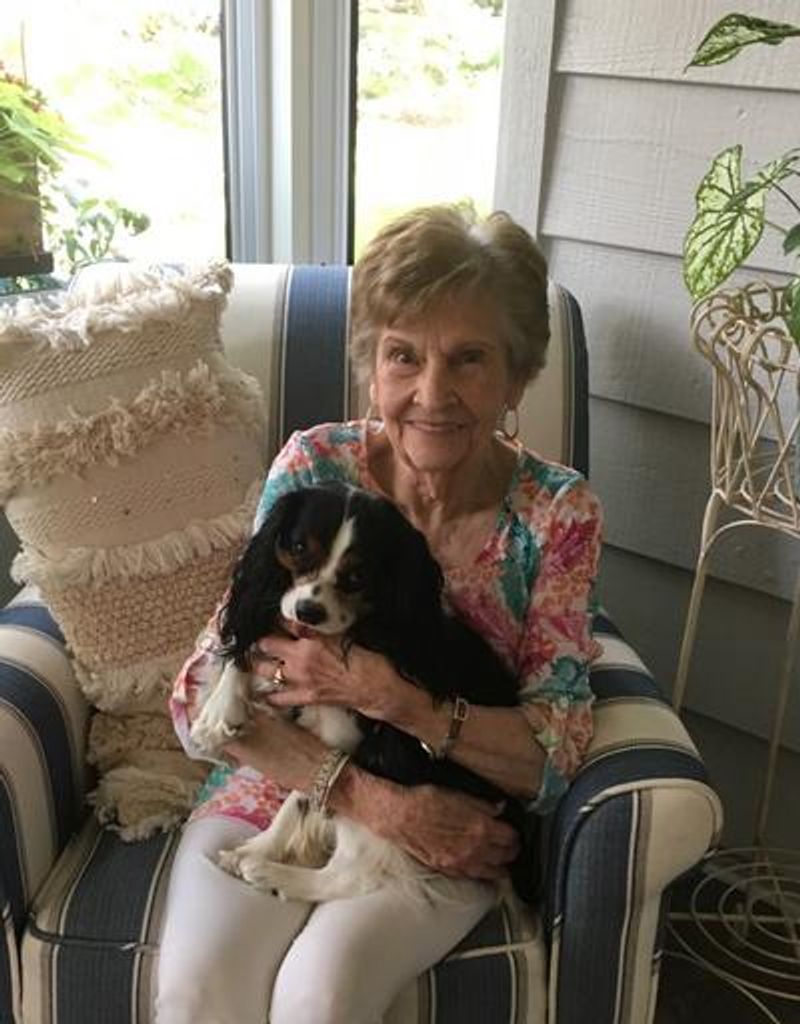 Dorine L. Muller Profile Photo