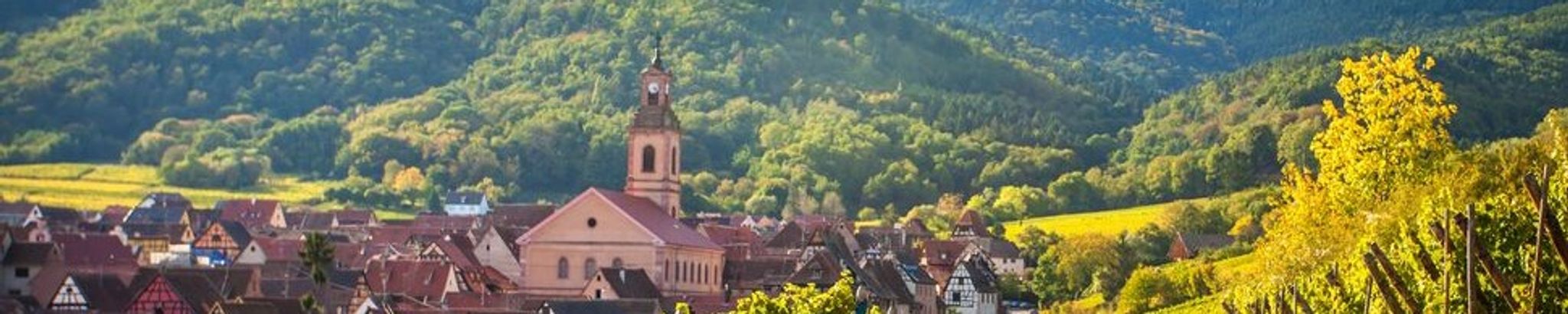 Cover for Karen Joyce White Mather's Obituary