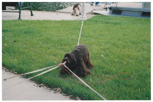 Gary L. Hall photo gallery thumbnail 249 of 354