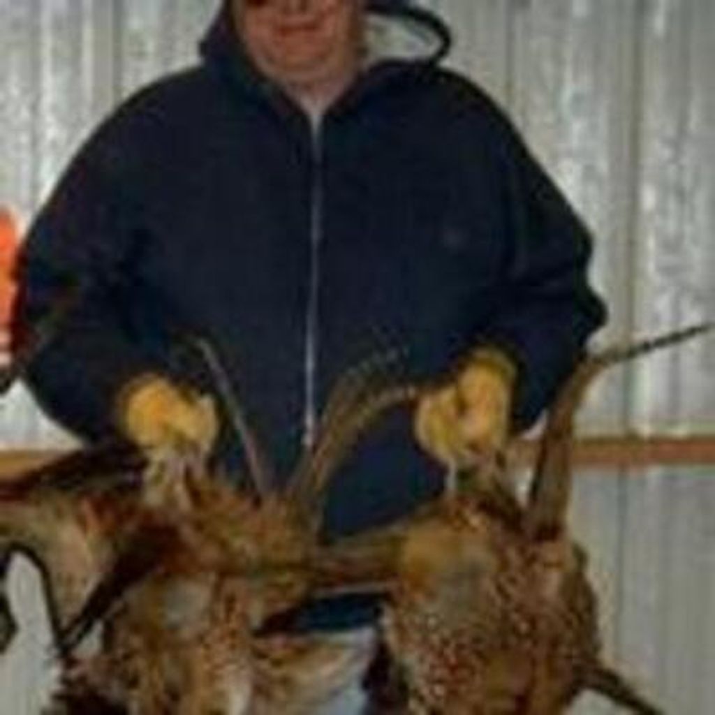 Bill Terpstra