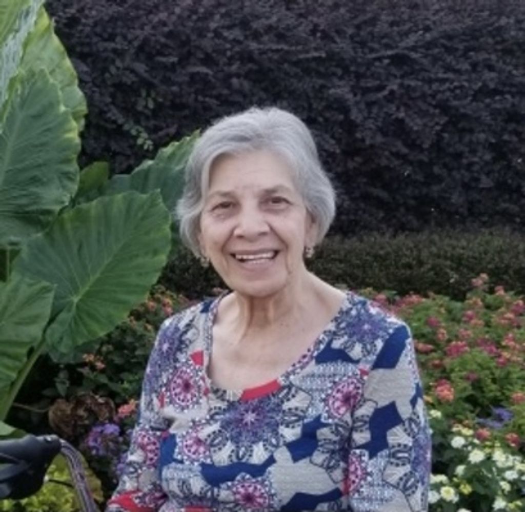 Sara   Alvarado Torres