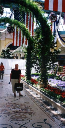 Rose D'Amico photo gallery thumbnail 78 of 96