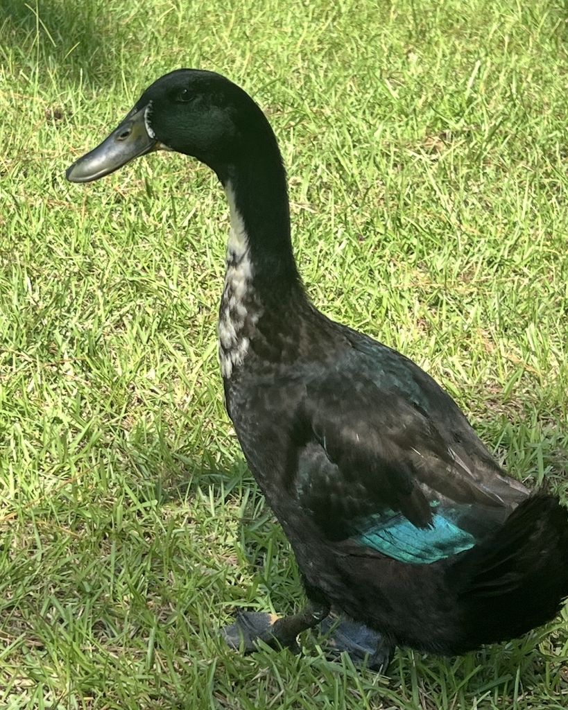 Wayne Cooler Profile Photo