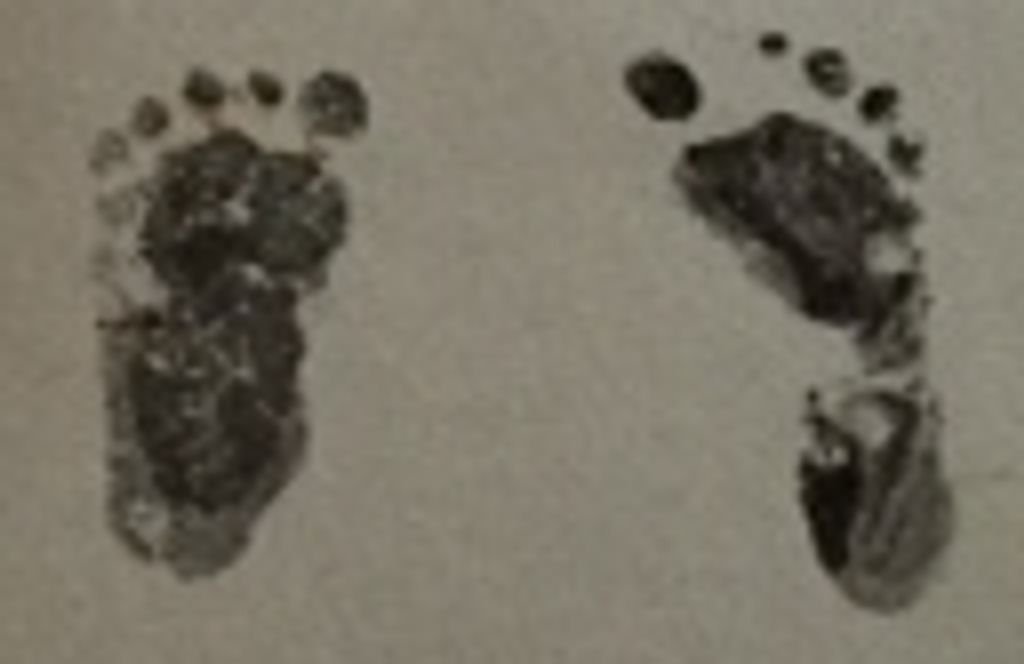 Brayden Joseph Frazier