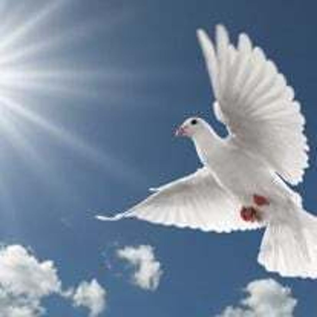 Thomas Leo Malnic Profile Photo