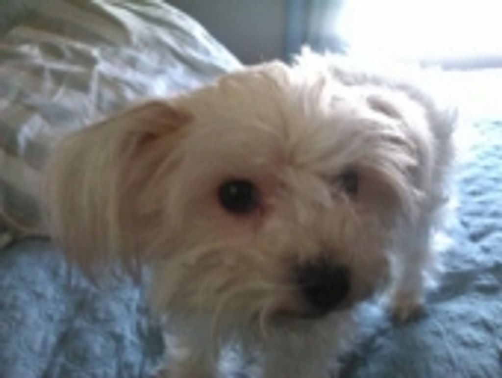 Gizzy Kerridge Profile Photo