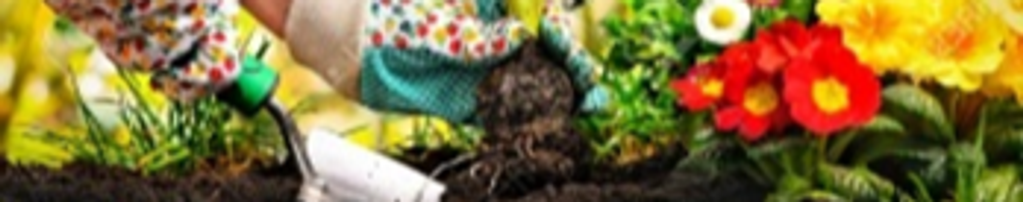 Cover photo for Ruth Ann Youngpeter's Obituary