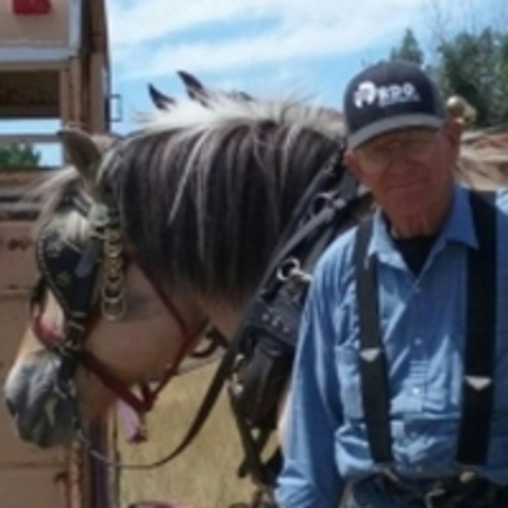William Edward Breuer Profile Photo
