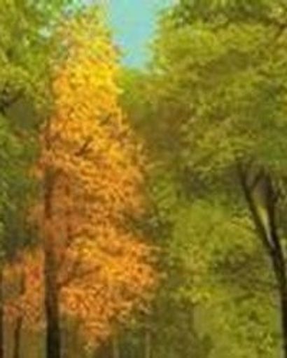 Talmadge Smith, III's obituary image
