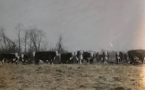 James Eaton Dixon Sr. photo gallery thumbnail 20 of 427
