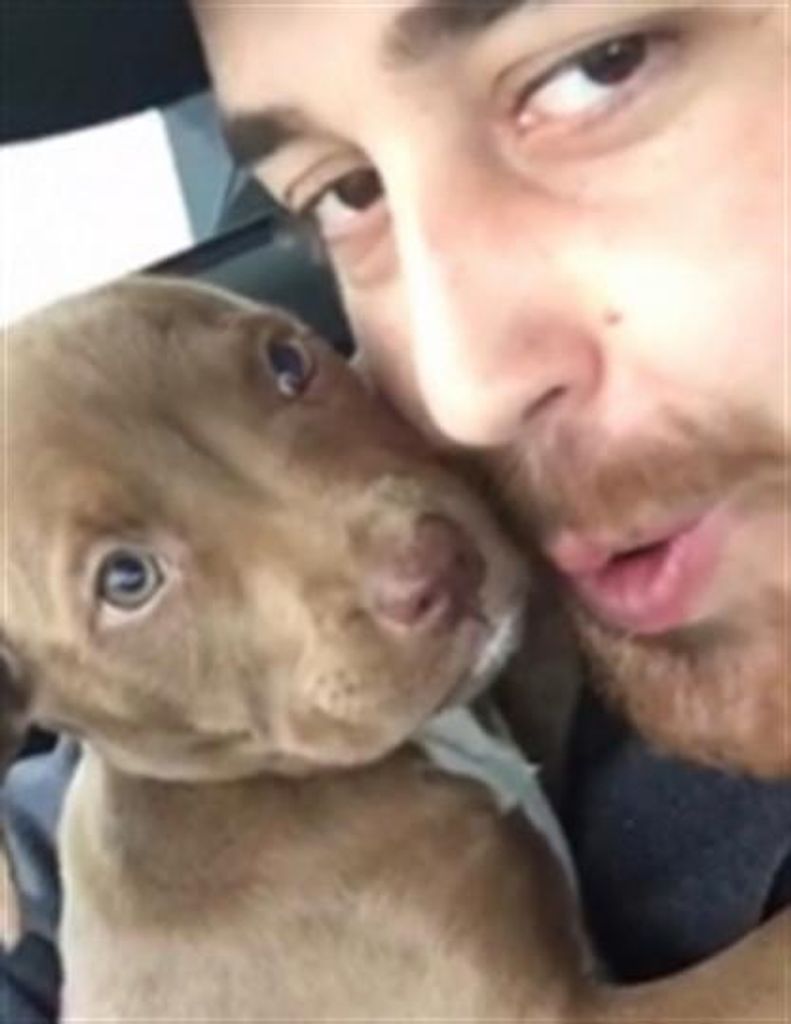 David Alexander Escobar