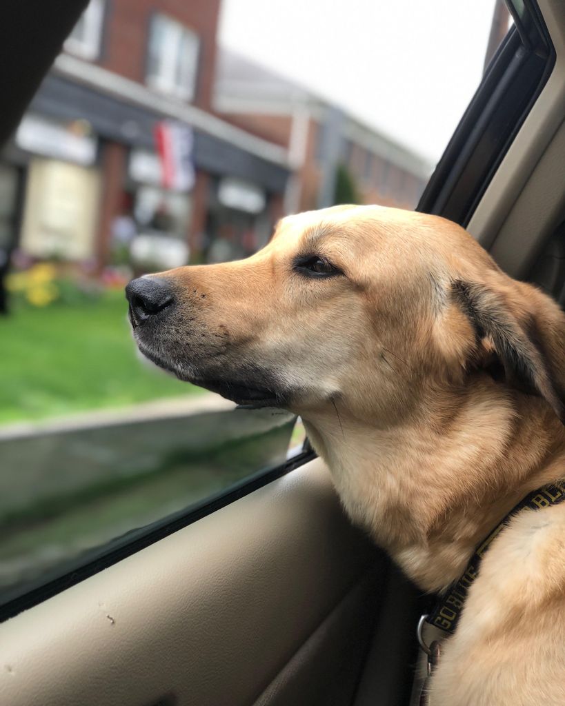 Nashville Ambinder Profile Photo