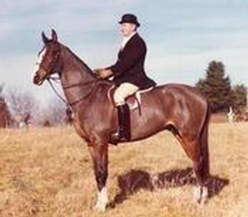 David J. Padfield