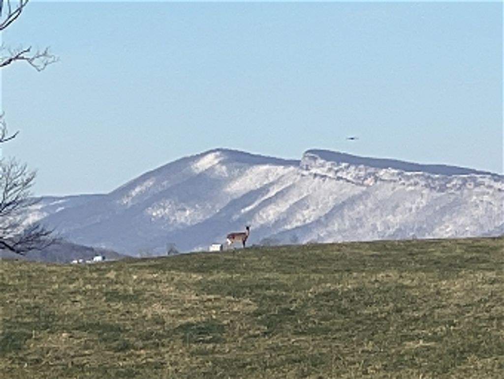 David Barker Profile Photo