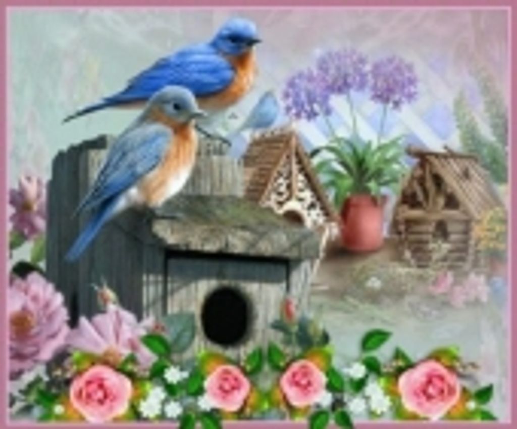 Helen Isaac Profile Photo