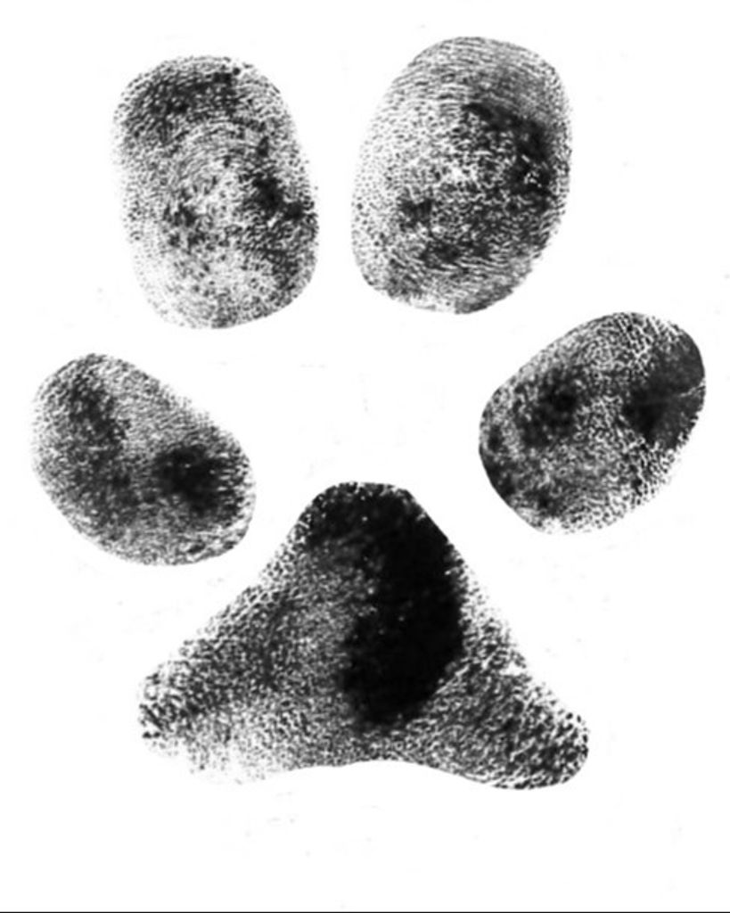 Molly Murphy Profile Photo