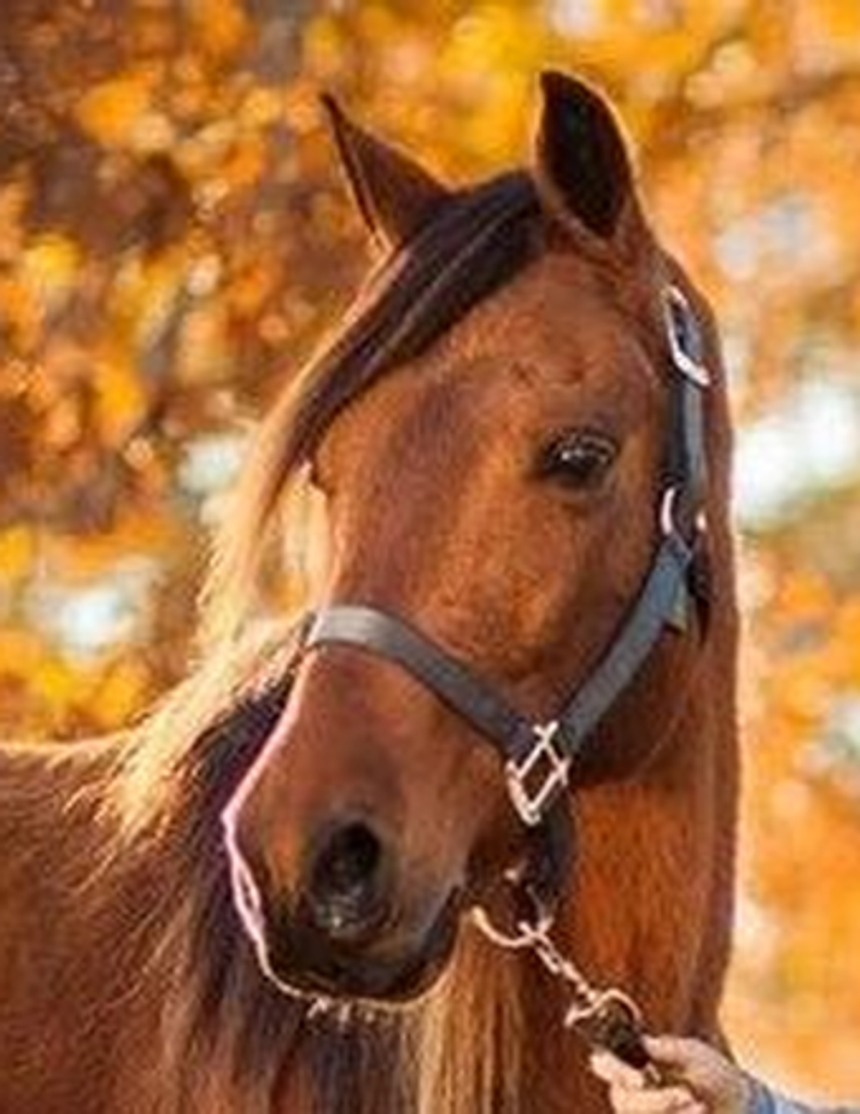 Thomas W. Ryan Profile Photo