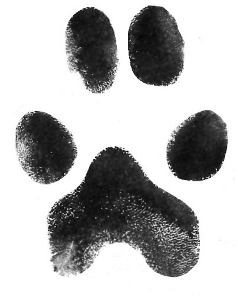 Sandy McVey Profile Photo