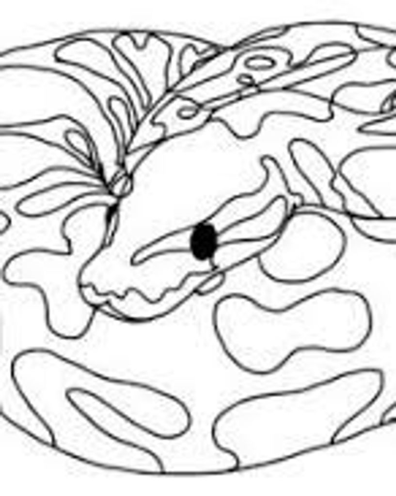 Charlie Profile Photo