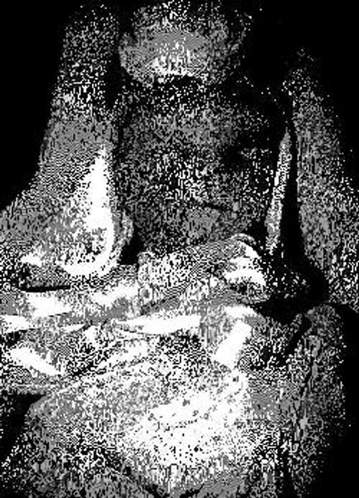 Palmer Grace Bradley