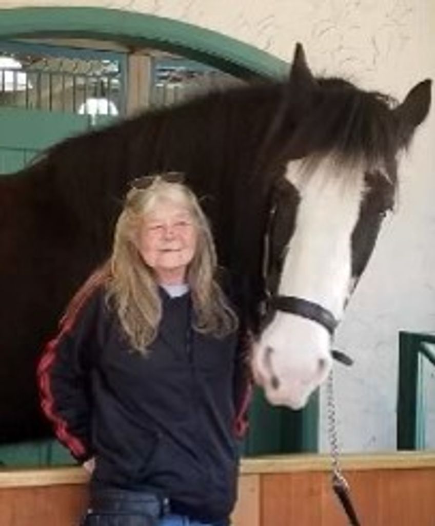 Maureen Ann (Comstock)  Korovich Profile Photo