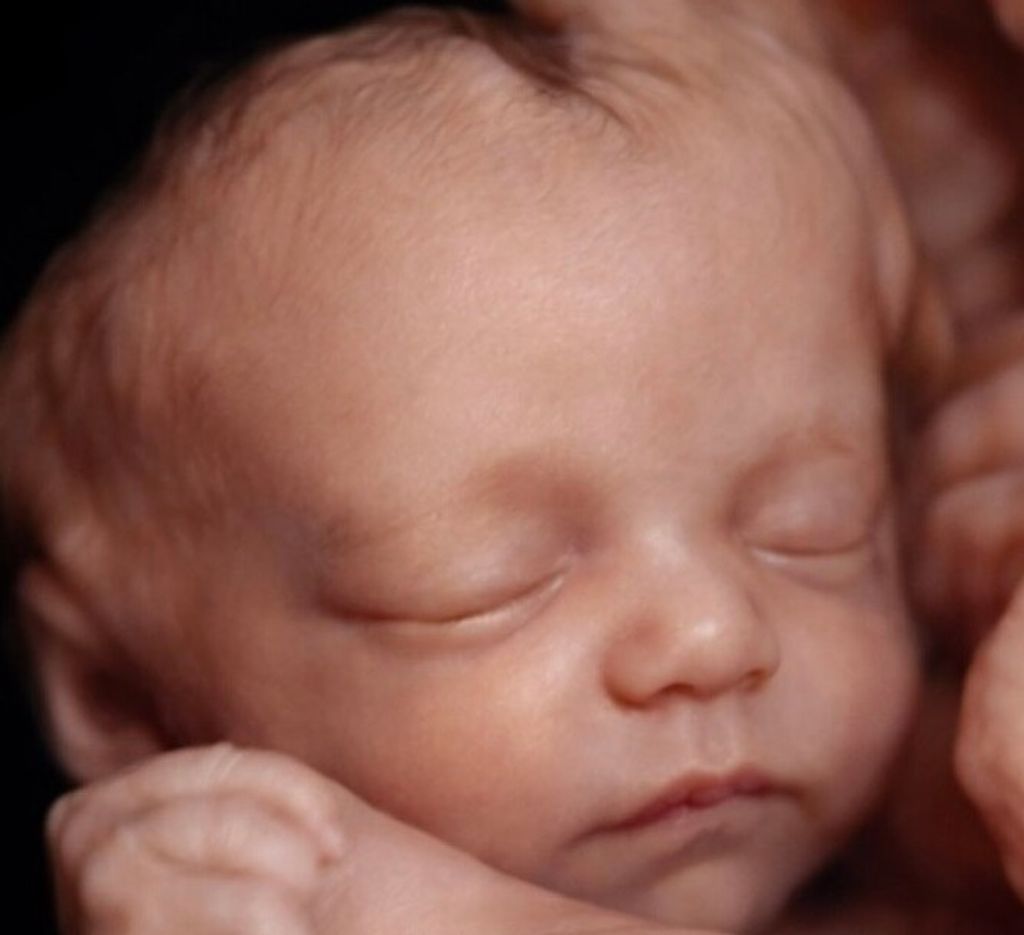 Brandon Lee Marquez Jr.