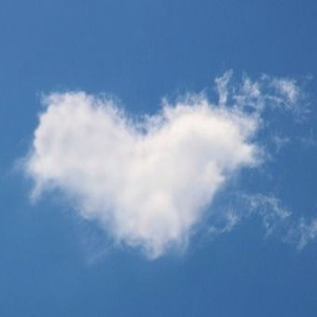 Mary Schaeffer Profile Photo