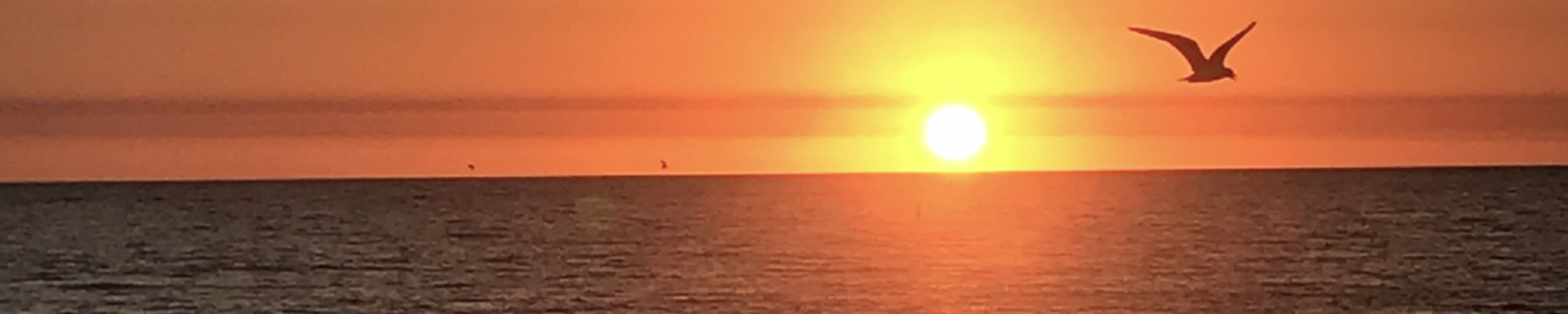 Cover for Evanne G. "Eve" Paddock's Obituary