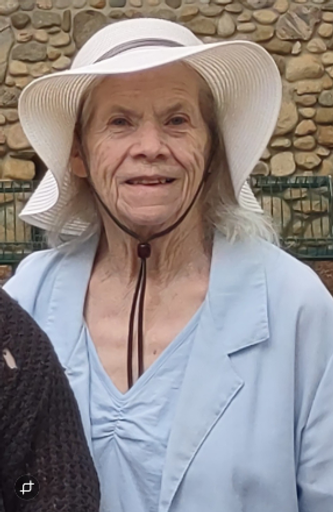Carol Ann Beerman Profile Photo