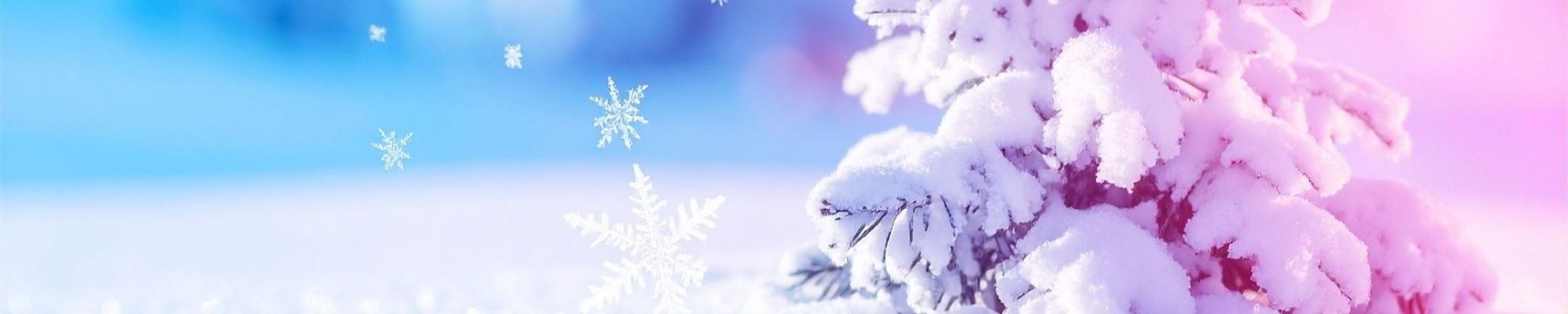 Cover for Shirley Ann Christensen's Obituary