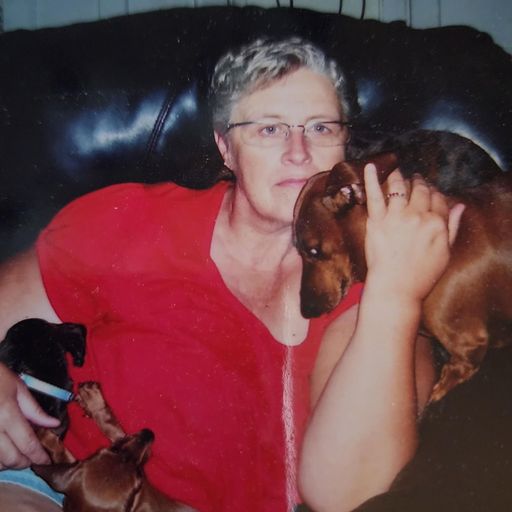 Ila Jeanne Scheneman Profile Photo