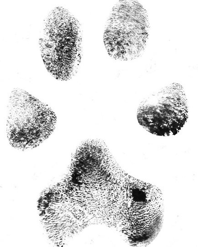 Roxy Prosser Profile Photo