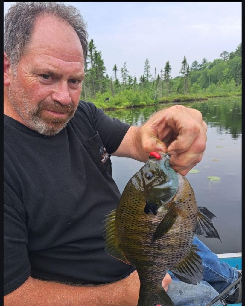 Paul Anderson Profile Photo