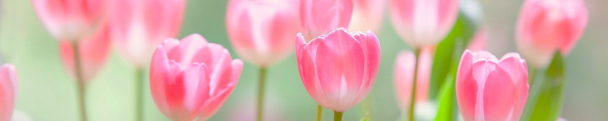 Cover photo for Valarae J. Witte's Obituary