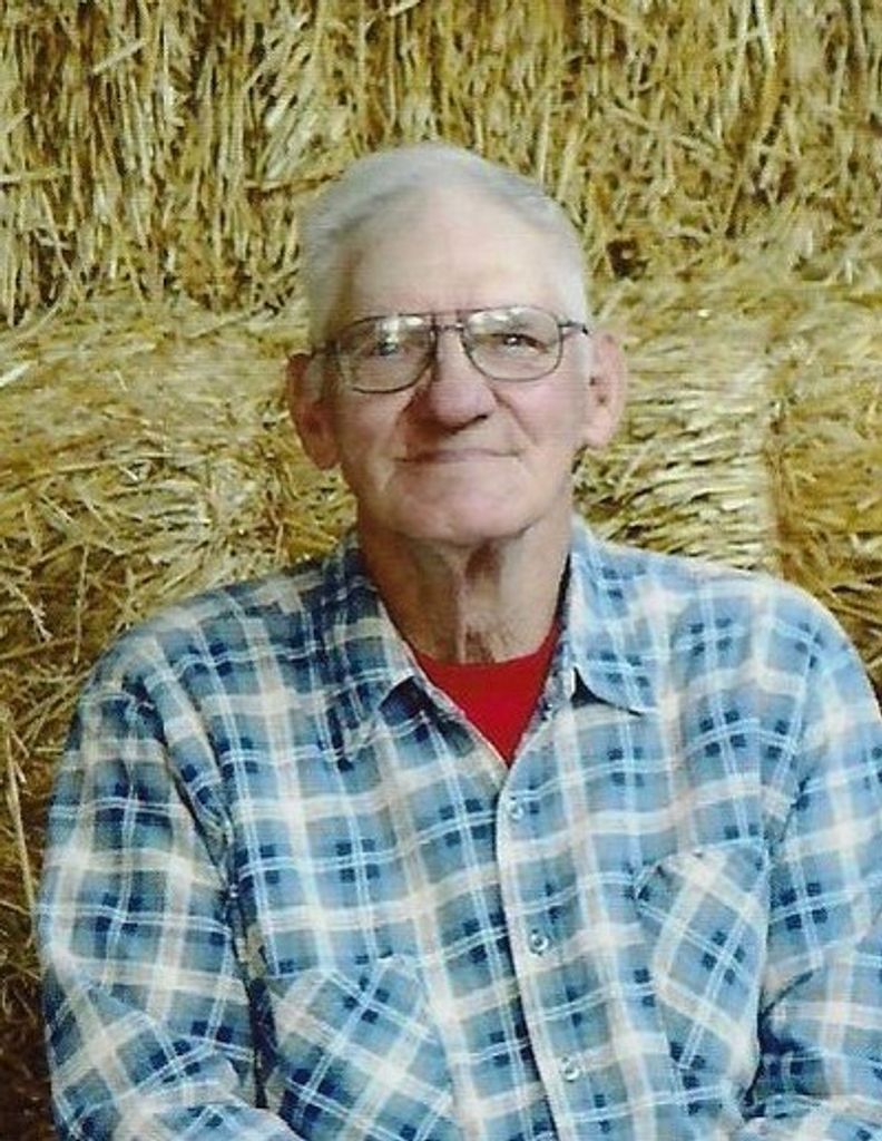 Oval Wheeler Profile Photo