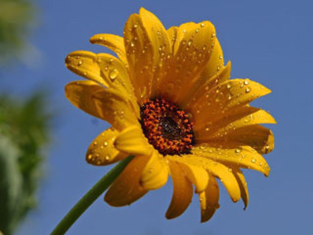 Jamie Andrews Profile Photo