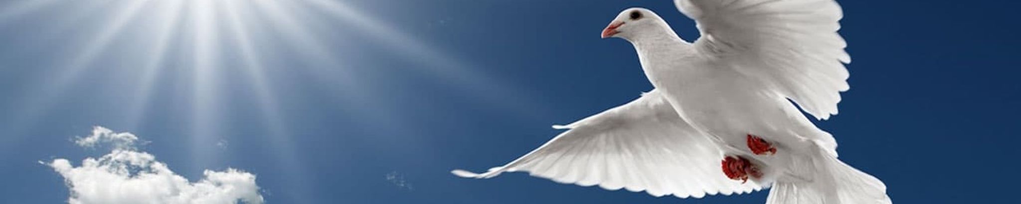 Cover photo for Horace D. Black's Obituary