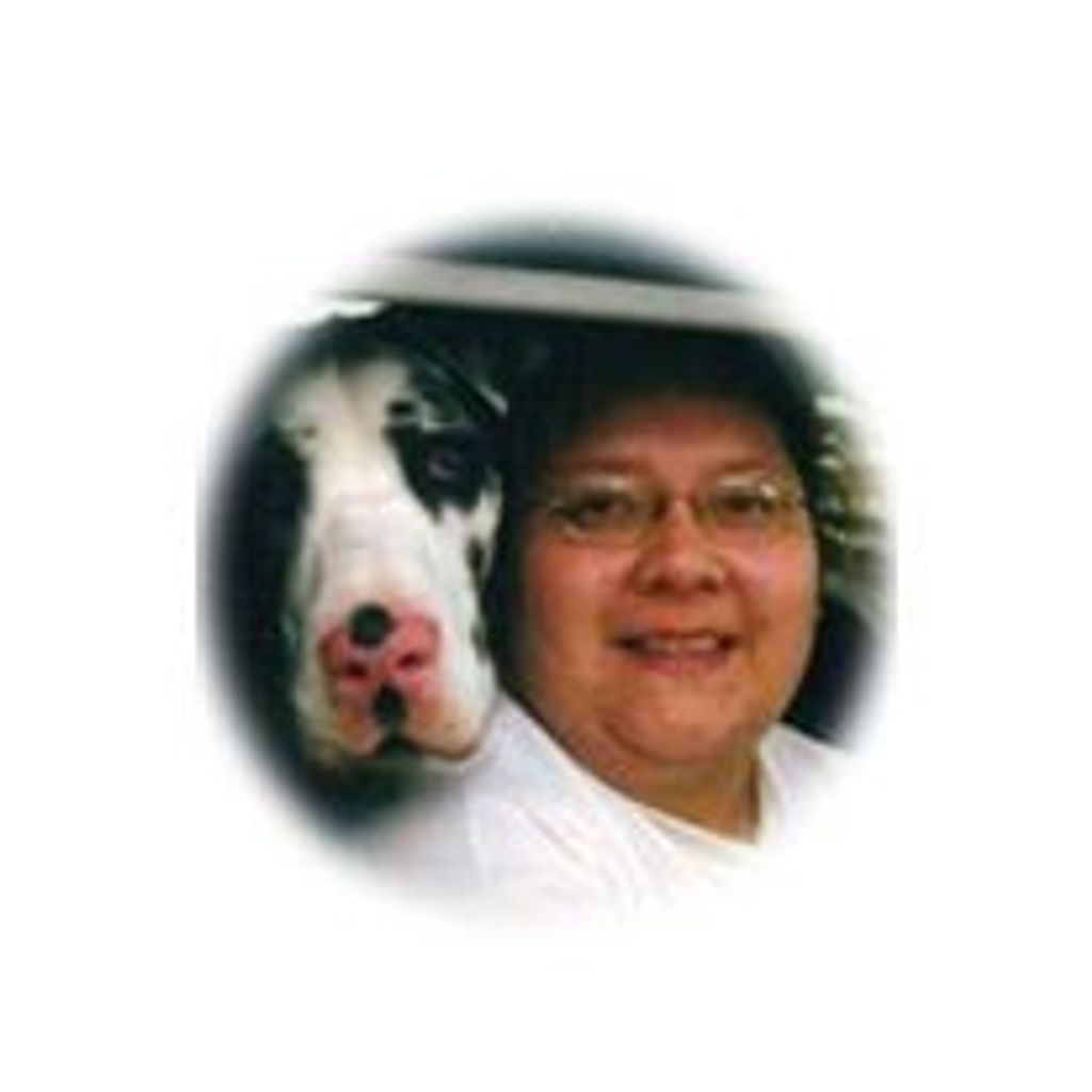 Lori D Johnson
