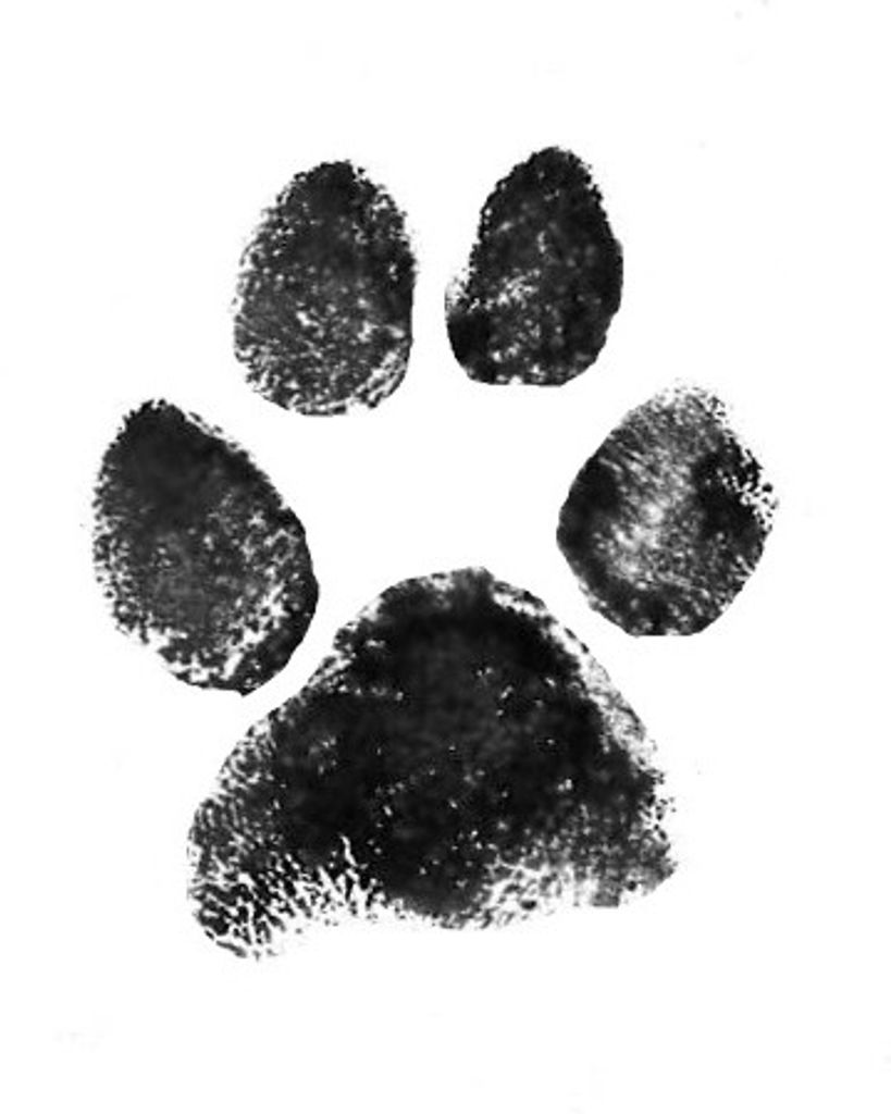 Mimi Jones Profile Photo