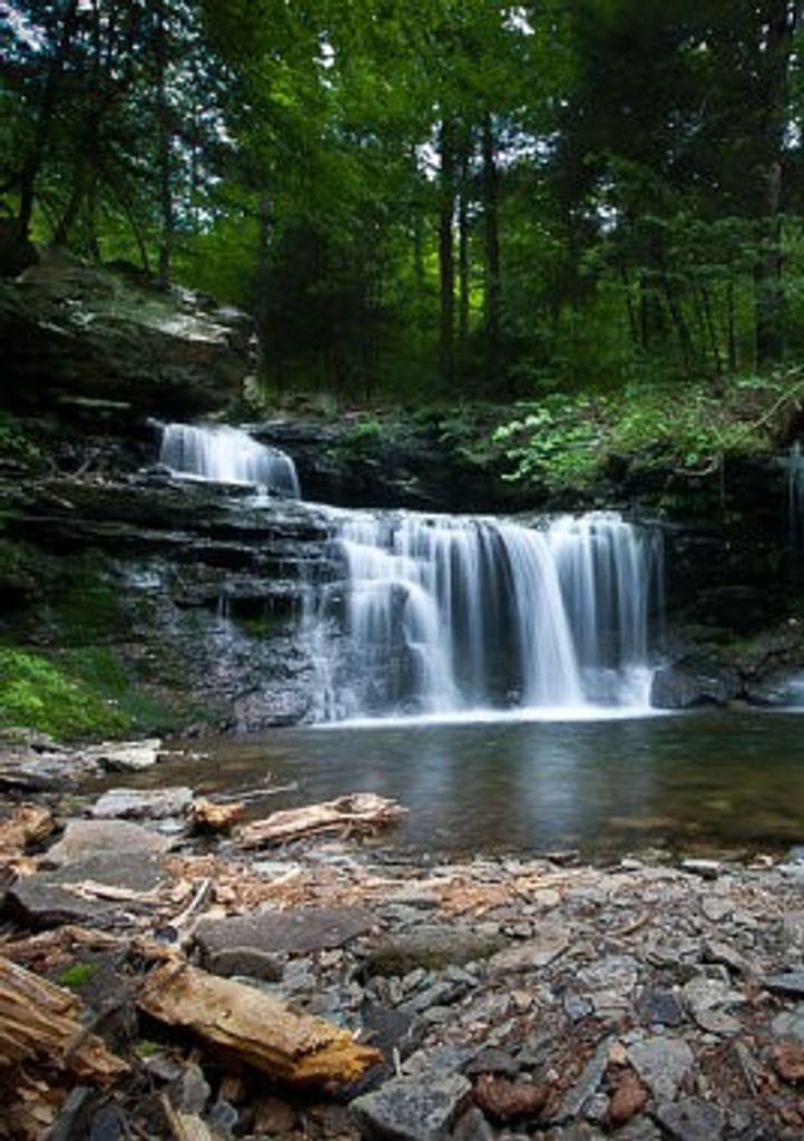 Robert "Rob" Lee Jerles, Iii Profile Photo