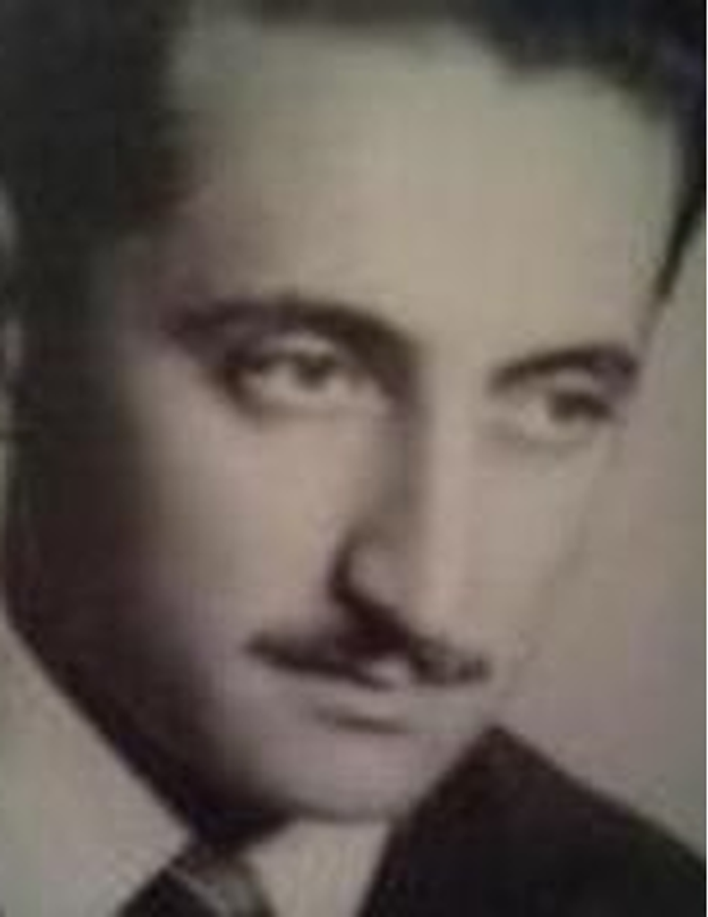 Miguel C. M. A. De Martini