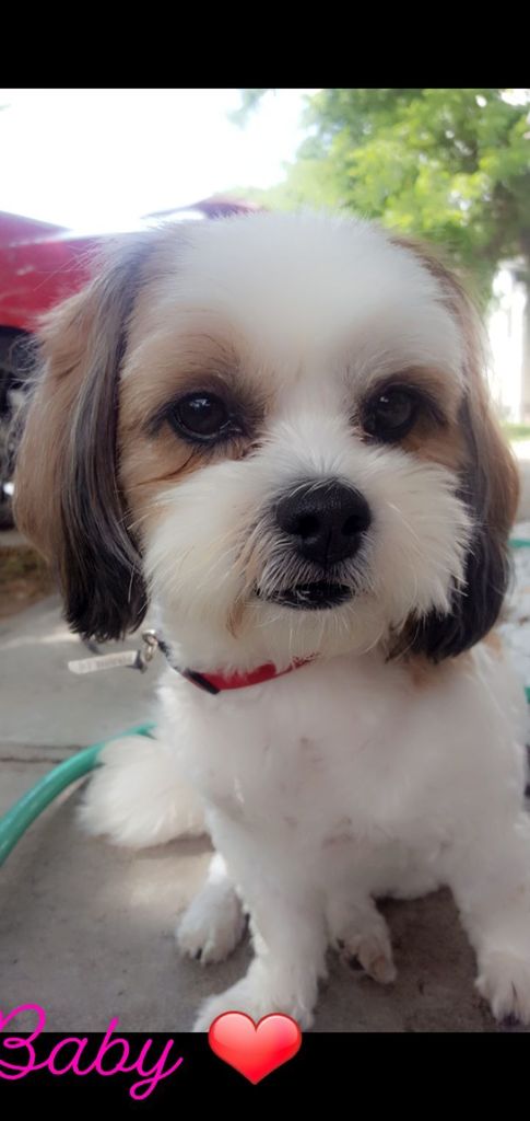 Baby Borunda Profile Photo