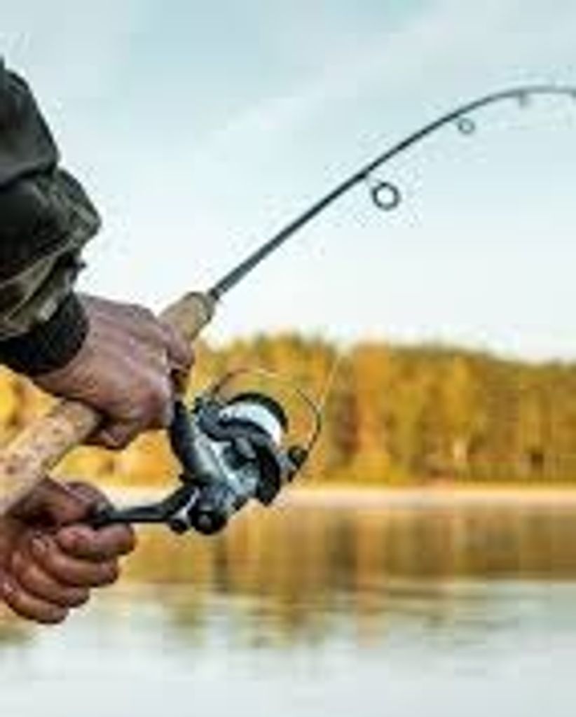 Richard A Phillips Profile Photo